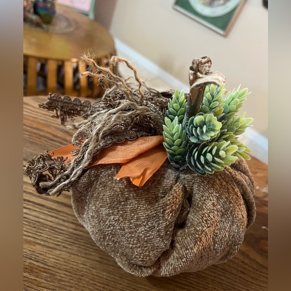 Set of 2 Handmade Succulent Chenille Fall Pumpkins - Fabric Fall Pumpkins - Boho - Picture 4 of 14